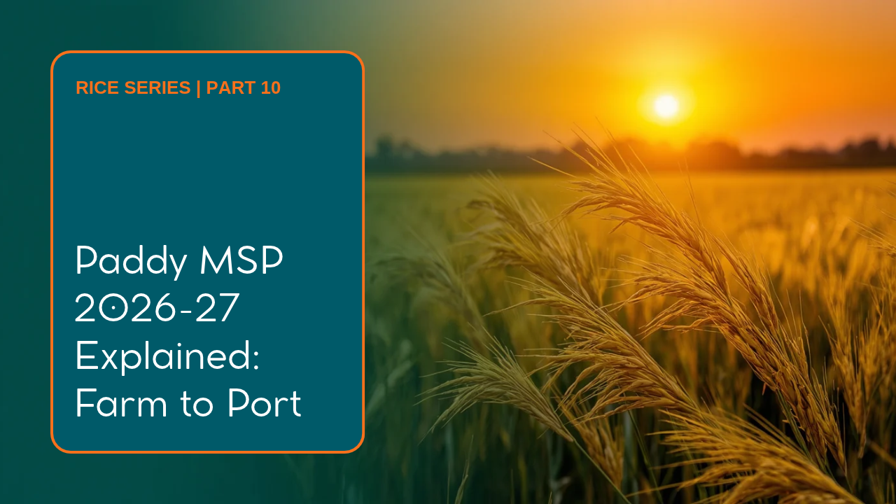 Paddy MSP 2026-27 Explained: rice pricing from farm to port