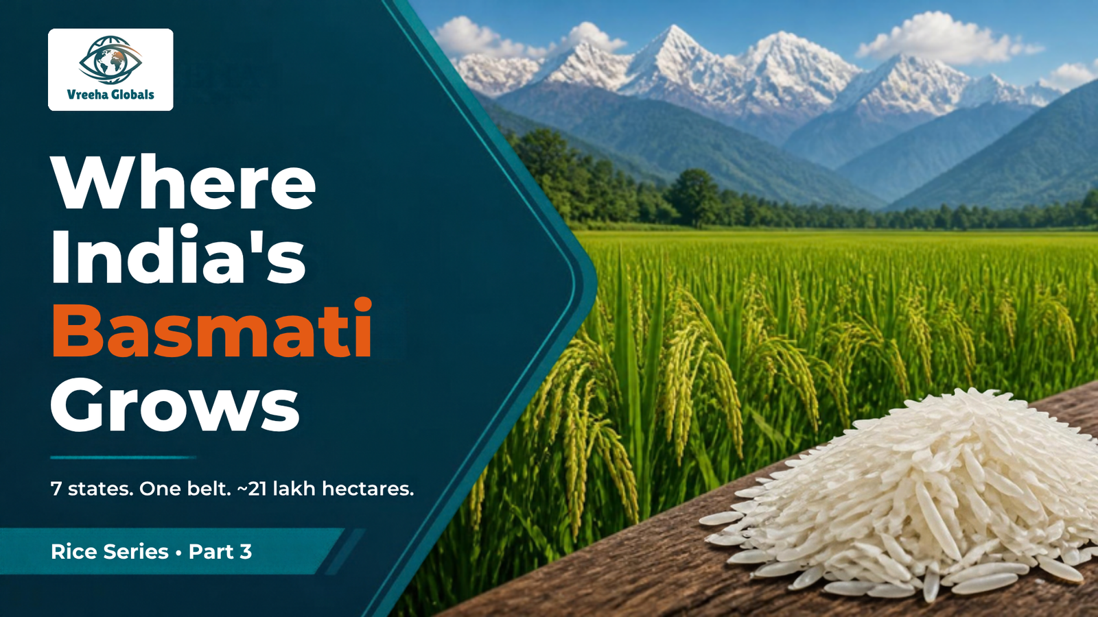 Basmati Growing Regions in India: Which States Grow It and How Much Land